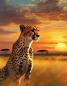 Preview: Gepard 2