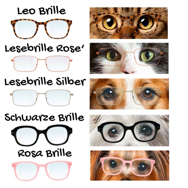 Auswahl möglicher Brillen für witziges Tierportrait bei der ein Hund oder eine Katze auf der Toilette sitzt und Zeitung liest.